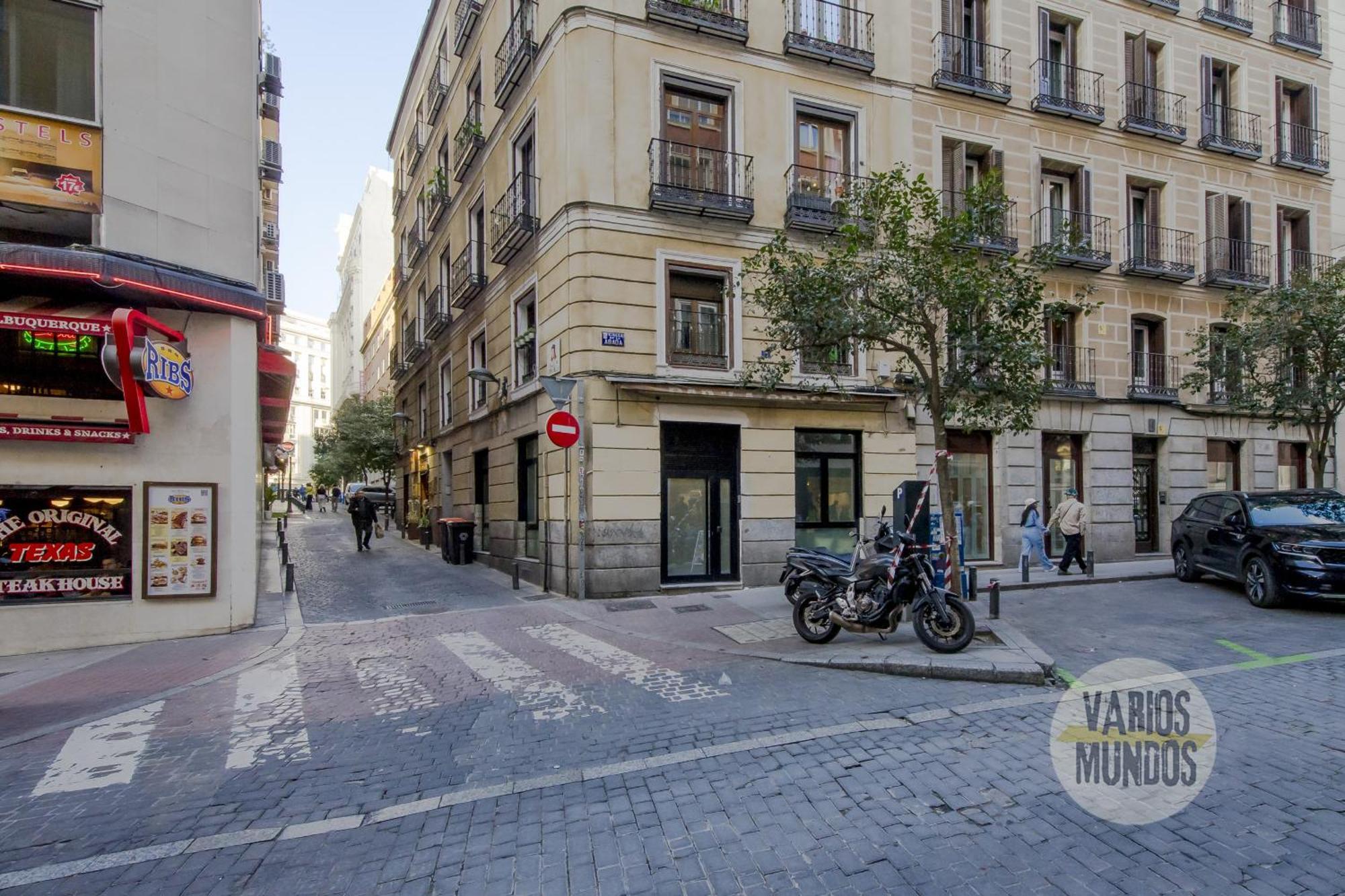 Deluxe Apt En El Centro De Madrid Para 9Pax E3 외부 사진